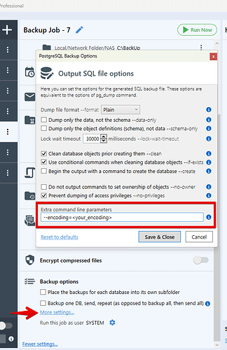 Extra command line parameters PostgreSQL SQLBackup